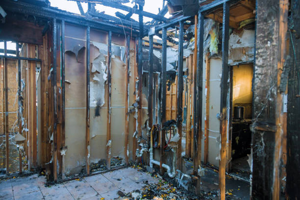 Professional Fire Damage Restoration technician working in Mazon, IL